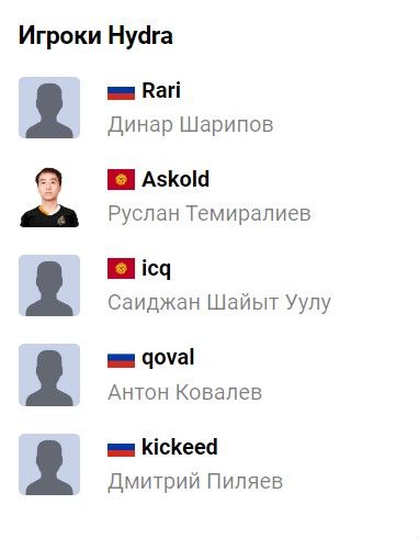 Состав команды Hydra
