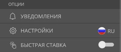 Настройки игрока