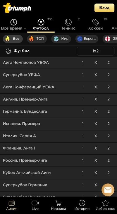 Интерфейс мобильного сайта БК Триумф