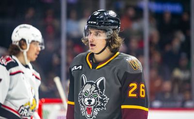 Джеймисон Риз