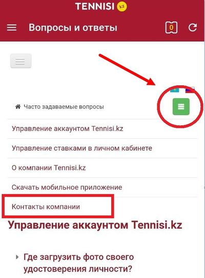 Раздел «Вопросы и ответы» в мобильной версии Tennisi