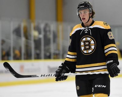 Давид Пастрняк