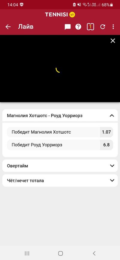 Неудачная попытка запустить трансляцию баскетбольного матча в приложении