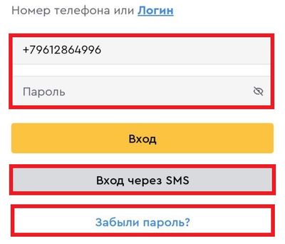 Авторизация в приложении