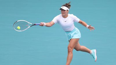 Бьянка Андрееску