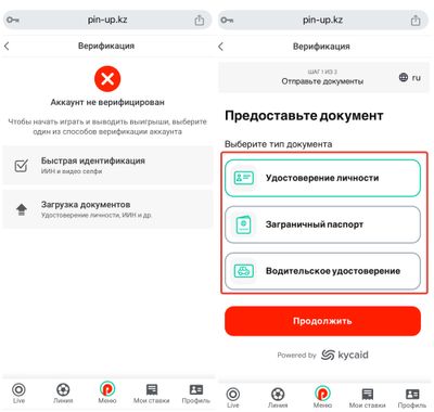 Как пройти идентификацию в БК Pin Up Казахстан