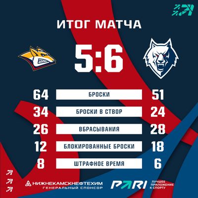 ХК Нефтехимик