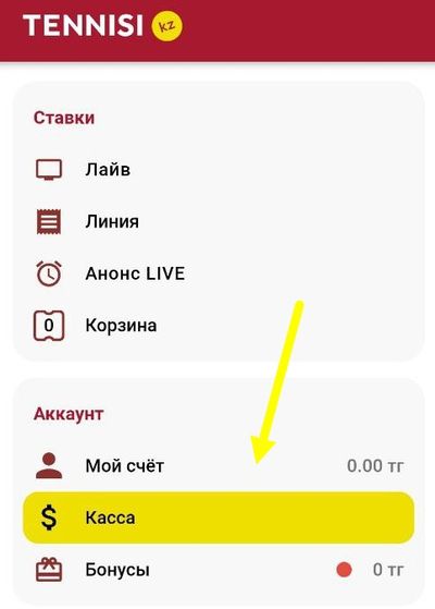Раздел «Касса» в главном меню мобильной версии