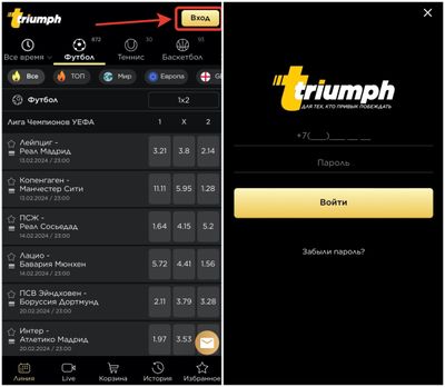Вход в БК Триумф