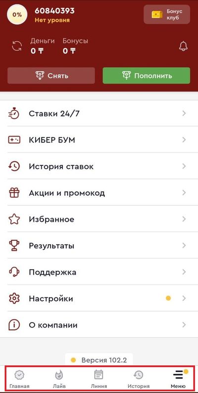 Интерфейс личного кабинета в «Меню»