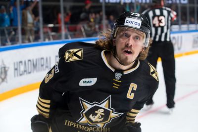 Либор Шулак