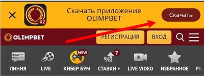 Кнопка Скачать