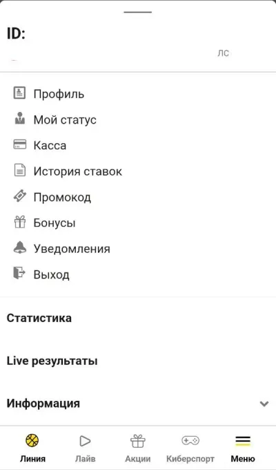 Пополнение счета Ubet