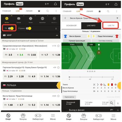 Видеотрансляции