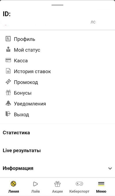 Личный кабинет БК Ubet