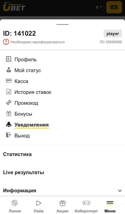 Раздел уведомления на сайте БК Ubet