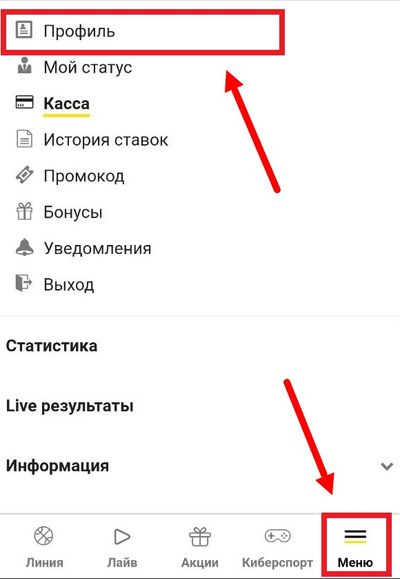 Внизу выделена кнопка, открывающая главное меню. Вверху – раздел «Профиль», в который нужно зайти для идентификации