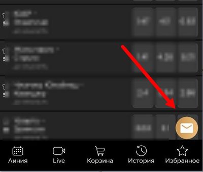 Онлайн-чат в БК Триумф