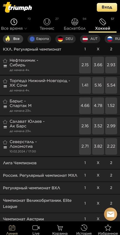 Хоккей в БК Триумф