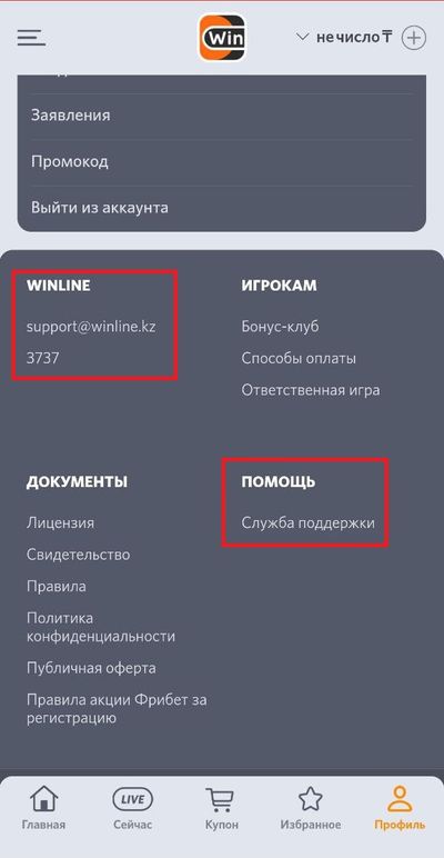 Служба поддержки Винлайн