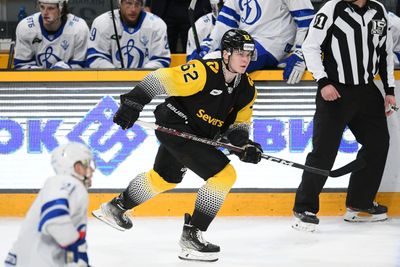 ХК Северсталь