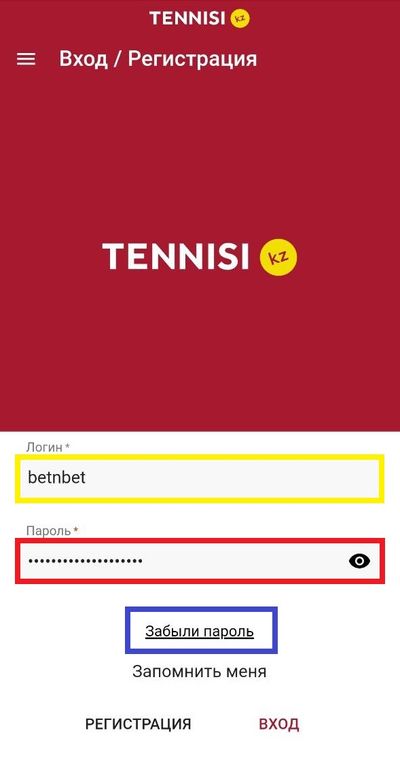 Форма авторизации в приложении Tennisi