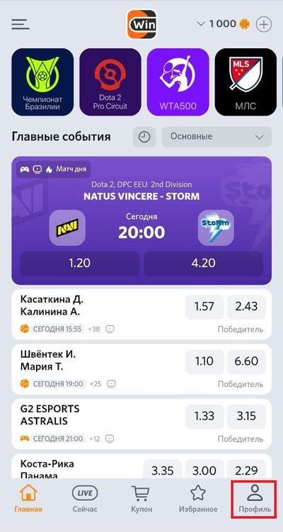 Как войти в личный кабинет Винлайн