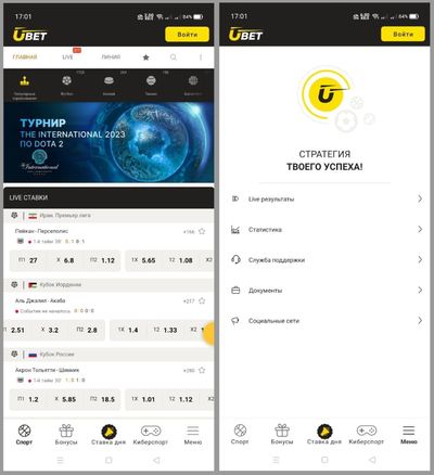 Мобильное приложение практически ничем не отличается от мобильной версии сайта