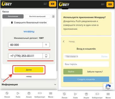 Пополнить счет с Wooppay