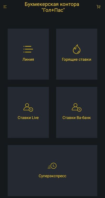 Разделы БК ГолПас