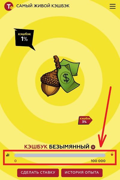 Шкала опыта в Tennisi