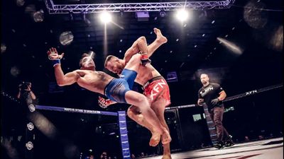 Ярослав Покорни