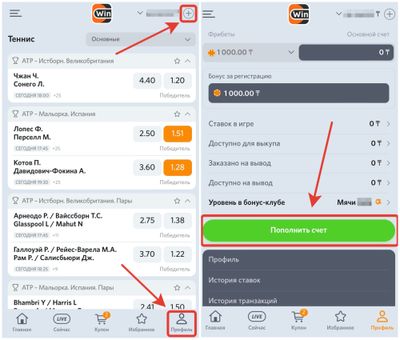Пополнить счет в Винлайне
