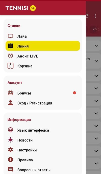 Навигация на сайте tennisi.kz