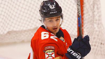 Денис Мальгин