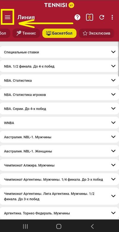 Навигация в мобильном сайте tennisi.kz