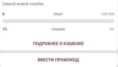 Информация о кэшбэке и место для ввода промокода