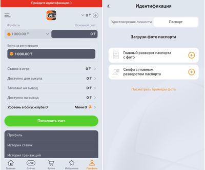 Фрибет за идентификацию в Винлайн Казахстан