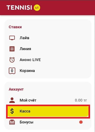 Раздел Касса