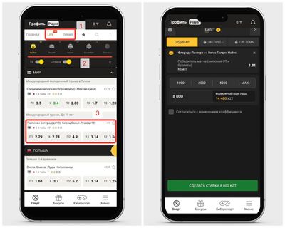 Ставки ординаром в Ubet