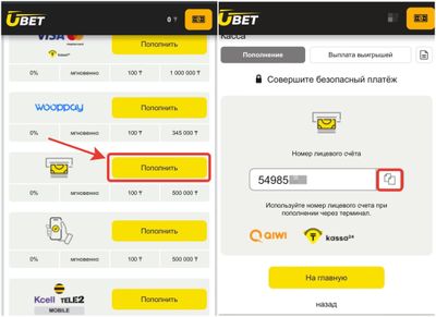 Как пополнить счет с терминала QIWI