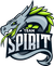 Team Spirit