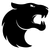 FURIA Esports